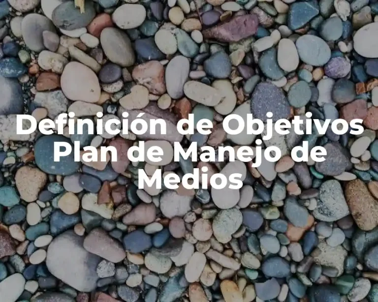 Definición de Objetivos Plan de Manejo de Medios