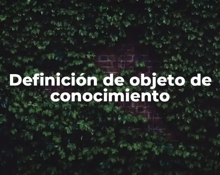Definición de objeto de conocimiento