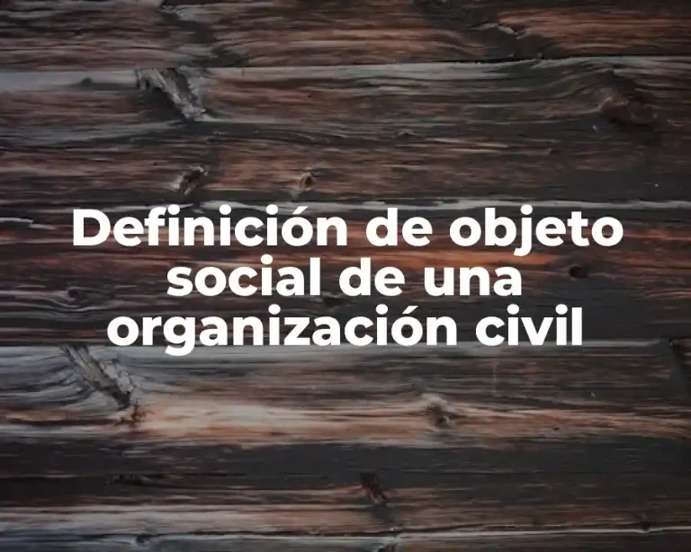 Definición de objeto social de una organización civil