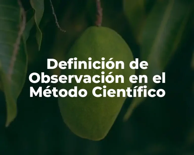Definición de Observación en el Método Científico