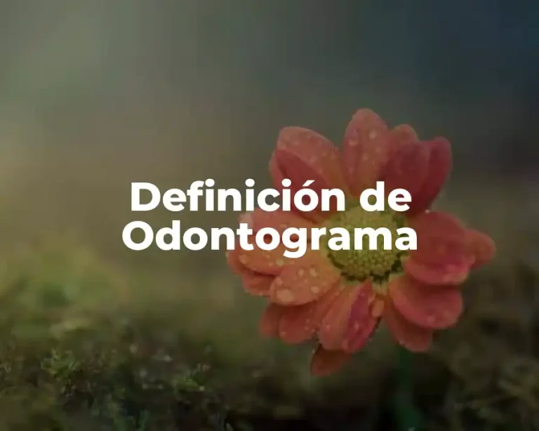 Definición de Odontograma