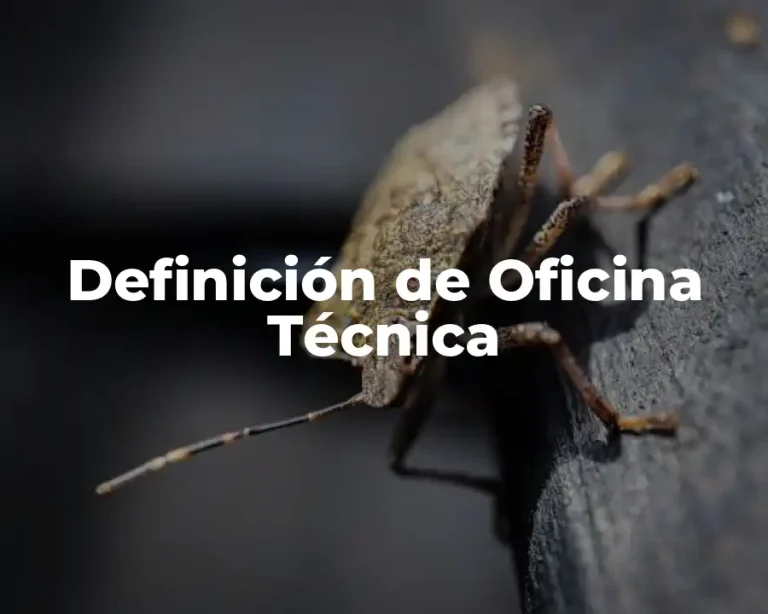 Definición de Oficina Técnica