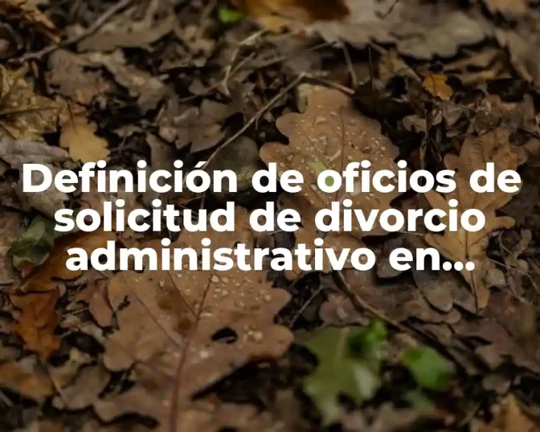 Definición de oficios de solicitud de divorcio administrativo en Chiapas