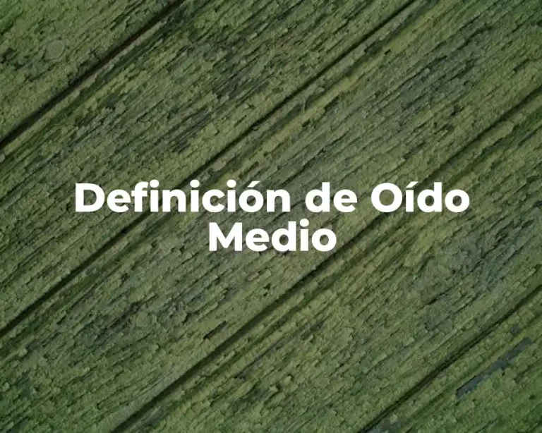 Definición de Oído Medio