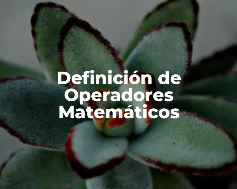 Definición de Operadores Matemáticos
