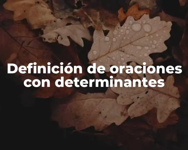 Definición de oraciones con determinantes