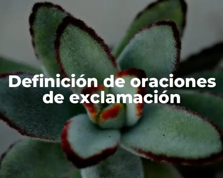 Definición de oraciones de exclamación