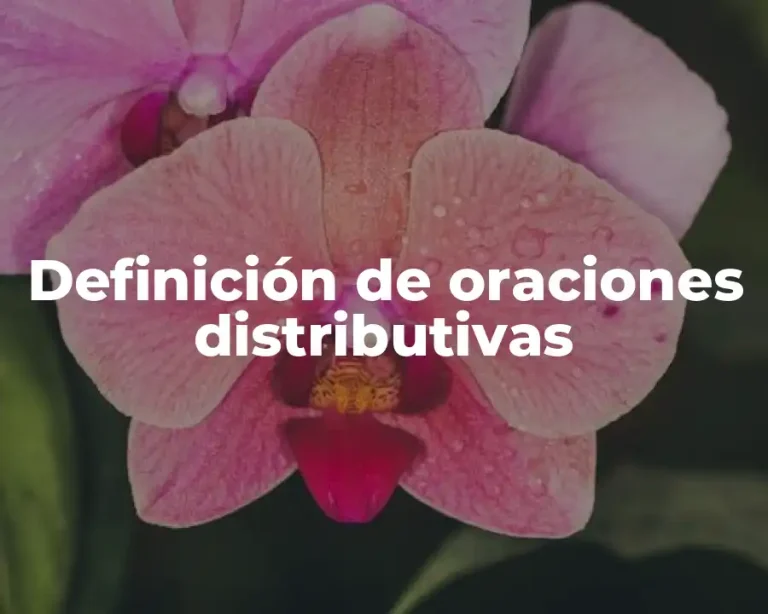 Definición de oraciones distributivas