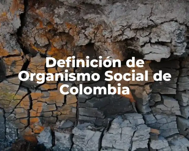 Definición de Organismo Social de Colombia