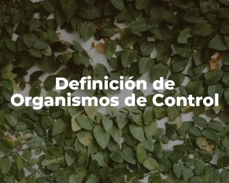 Definición de Organismos de Control
