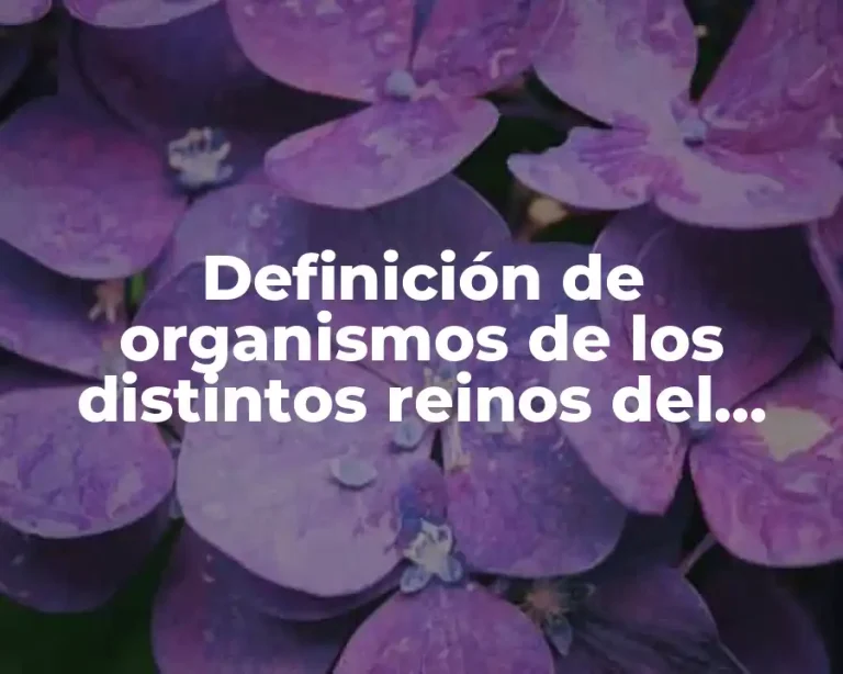 Definición de organismos de los distintos reinos del dominio eukarya