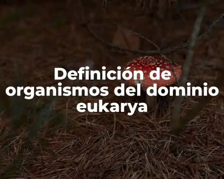 Definición de organismos del dominio eukarya