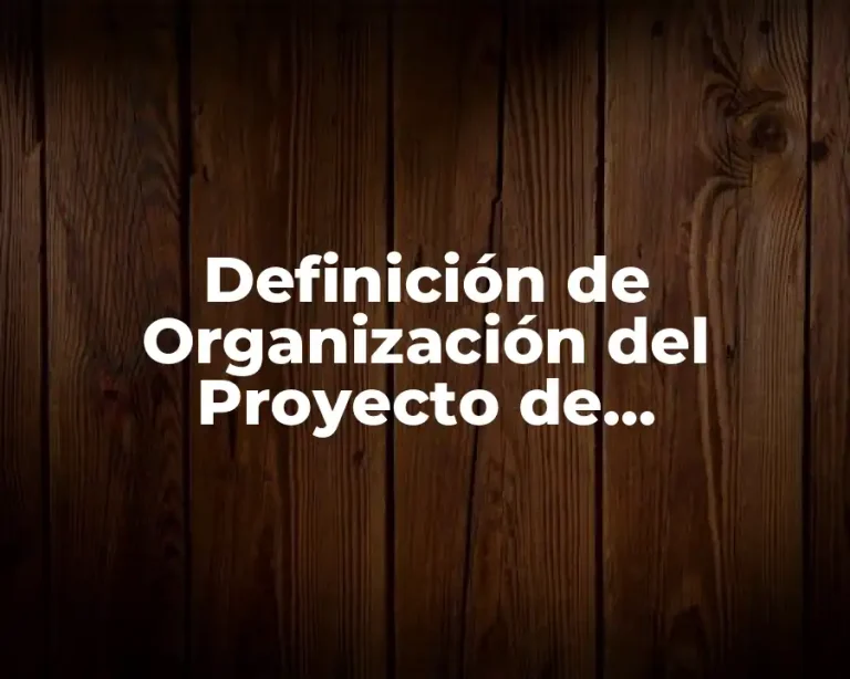 Definición de Organización del Proyecto de Investigación