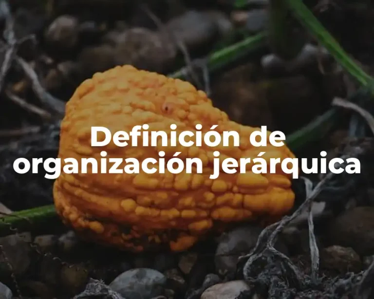 Definición de organización jerárquica