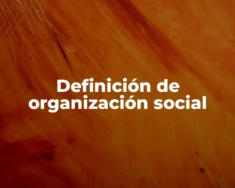 Definición de organización social
