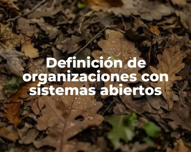 Definición de organizaciones con sistemas abiertos