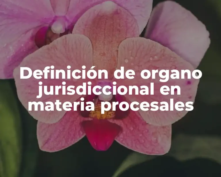 Definición de organo jurisdiccional en materia procesales