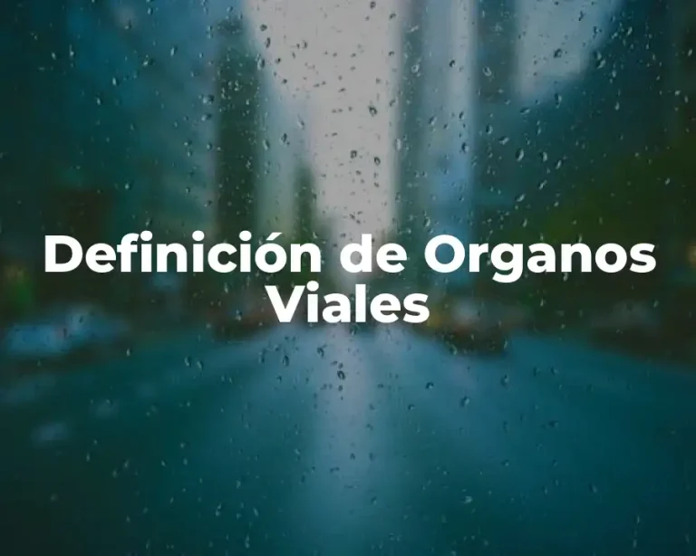 Definición de Organos Viales