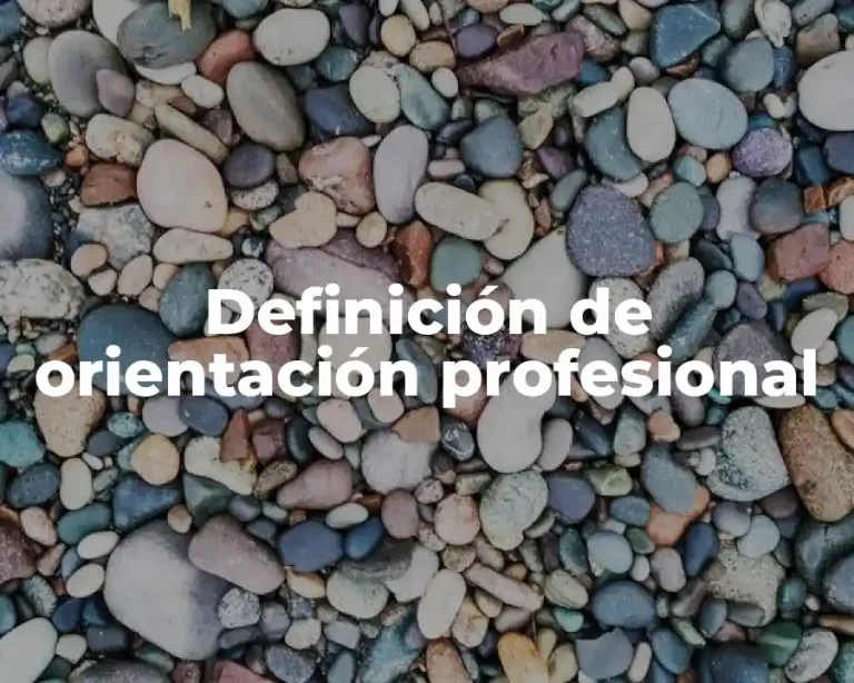 Definición de orientación profesional