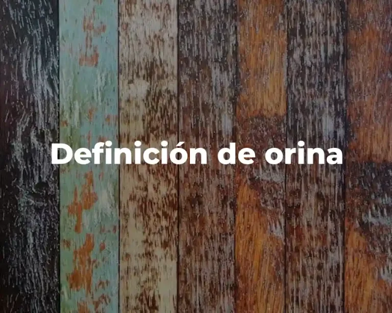Definición de orina