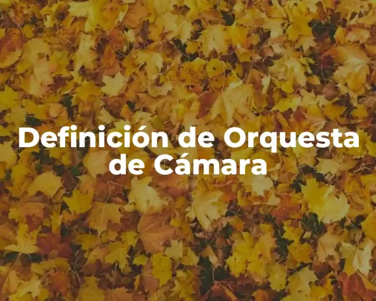 Definición de Orquesta de Cámara