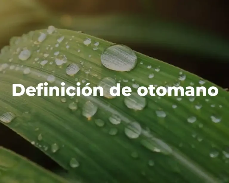 Definición de otomano