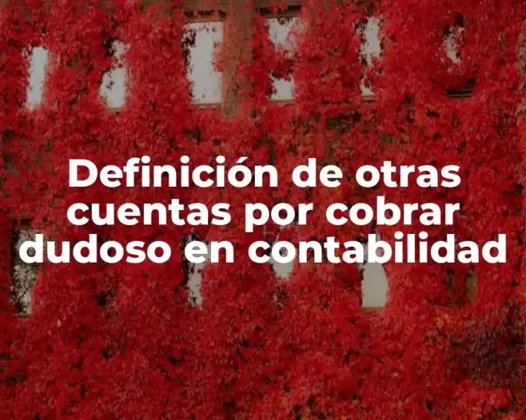 Definición de otras cuentas por cobrar dudoso en contabilidad