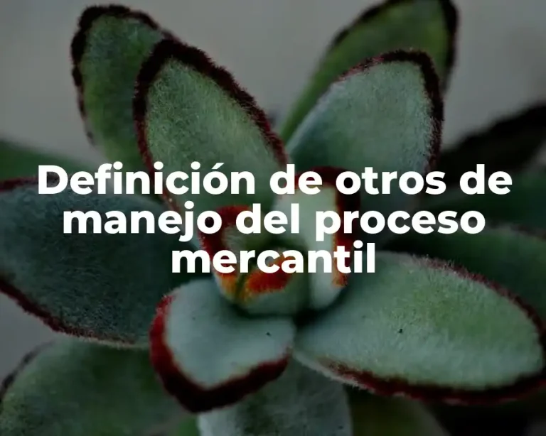 Definición de otros de manejo del proceso mercantil
