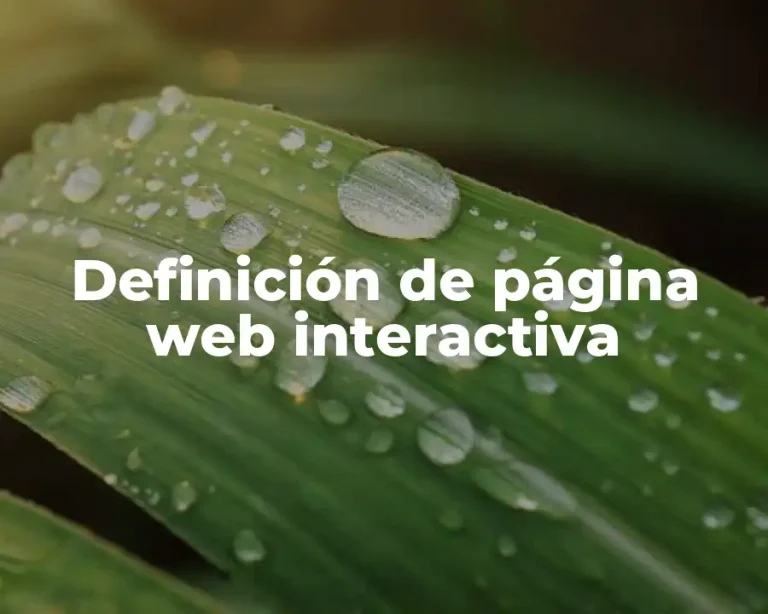 Definición de página web interactiva