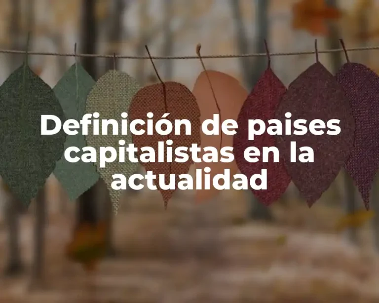 Definición de paises capitalistas en la actualidad