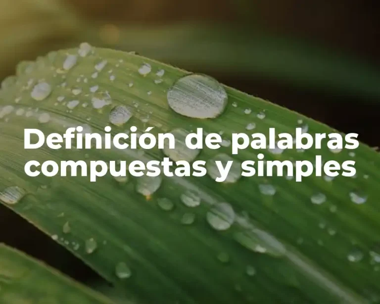 Definición de palabras compuestas y simples