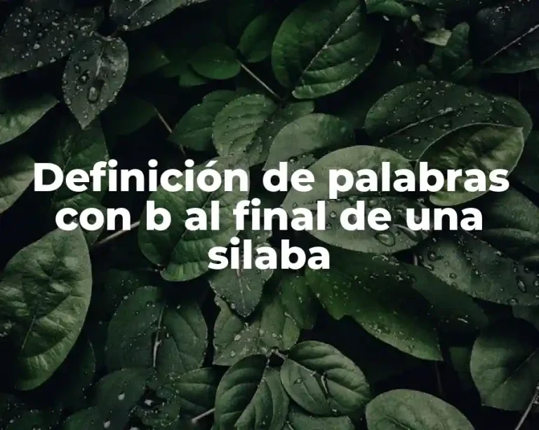 Definición de palabras con b al final de una silaba