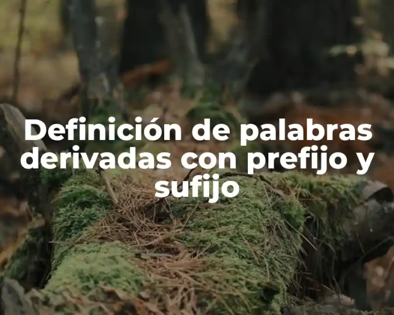 Definición de palabras derivadas con prefijo y sufijo