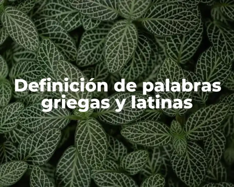 Definición de palabras griegas y latinas