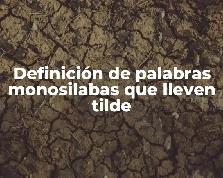 Definición de palabras monosilabas que lleven tilde