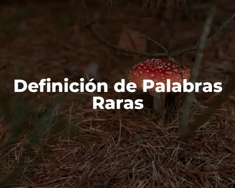 Definición de Palabras Raras