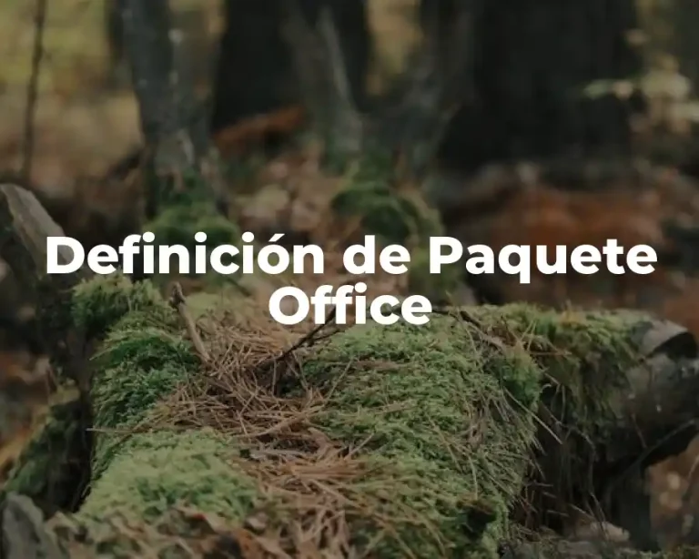 Definición de Paquete Office