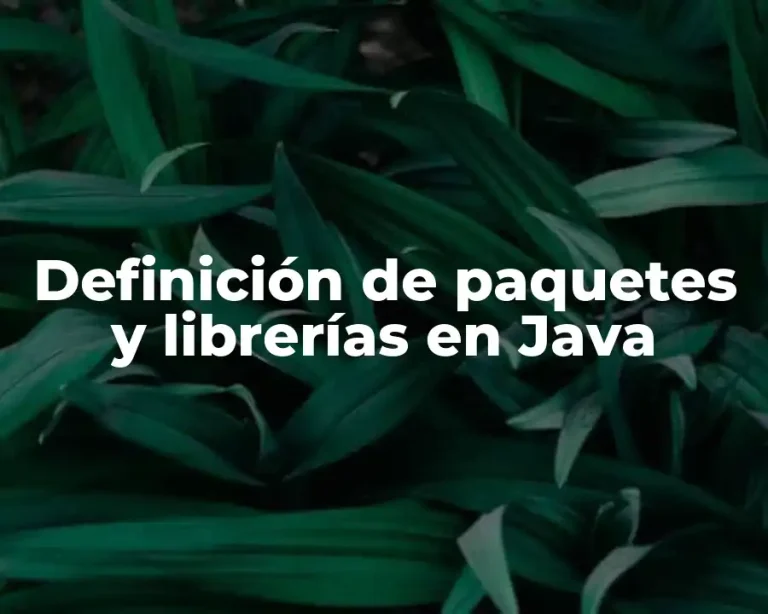 Definición de paquetes y librerías en Java