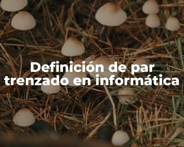 Definición de par trenzado en informática