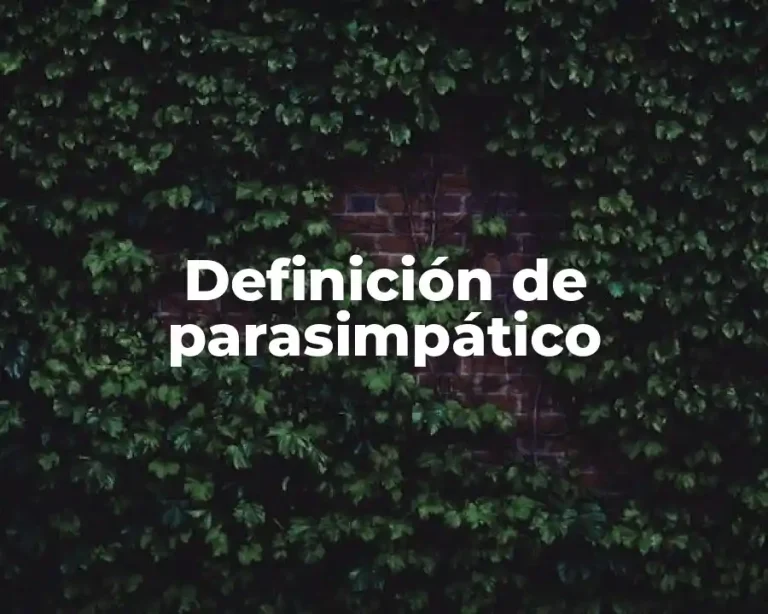 Definición de parasimpático