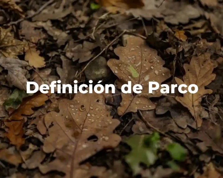 Definición de Parco