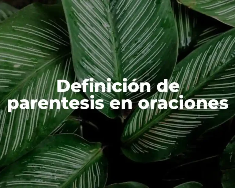 Definición de parentesis en oraciones