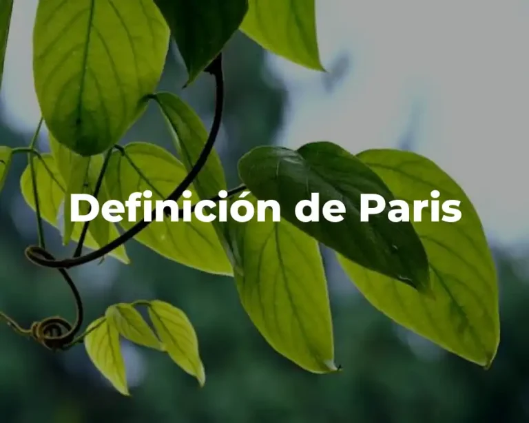Definición de Paris