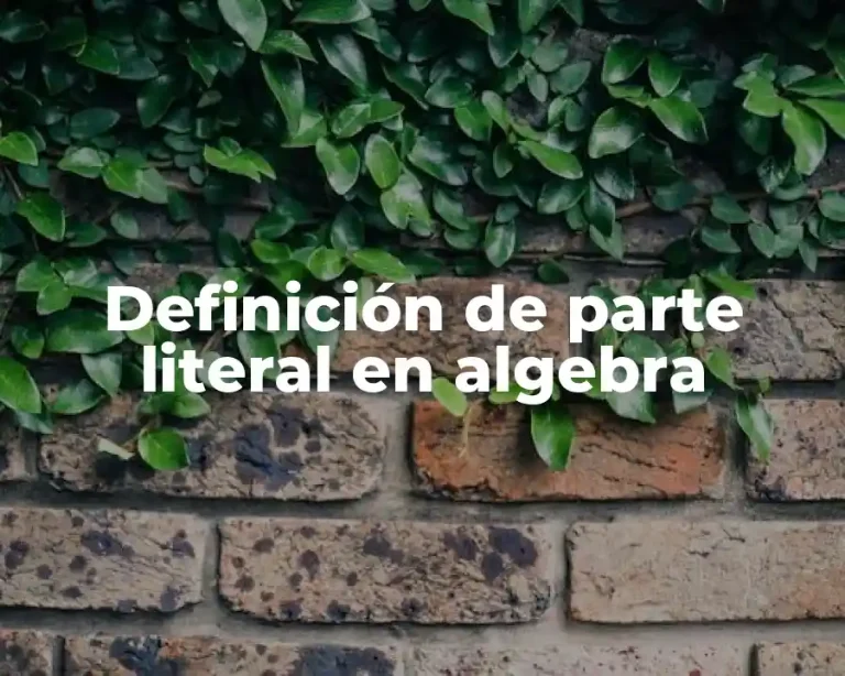 Definición de parte literal en algebra