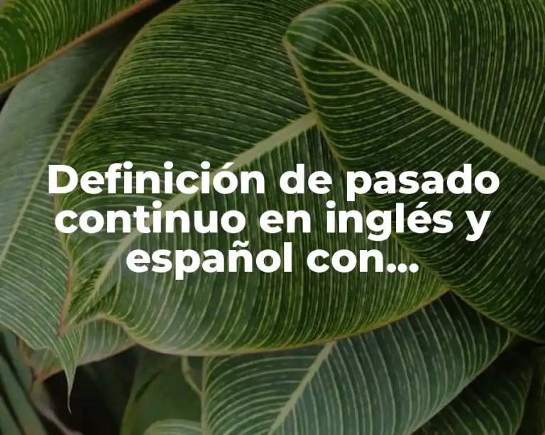 Definición de pasado continuo en inglés y español con pronombres