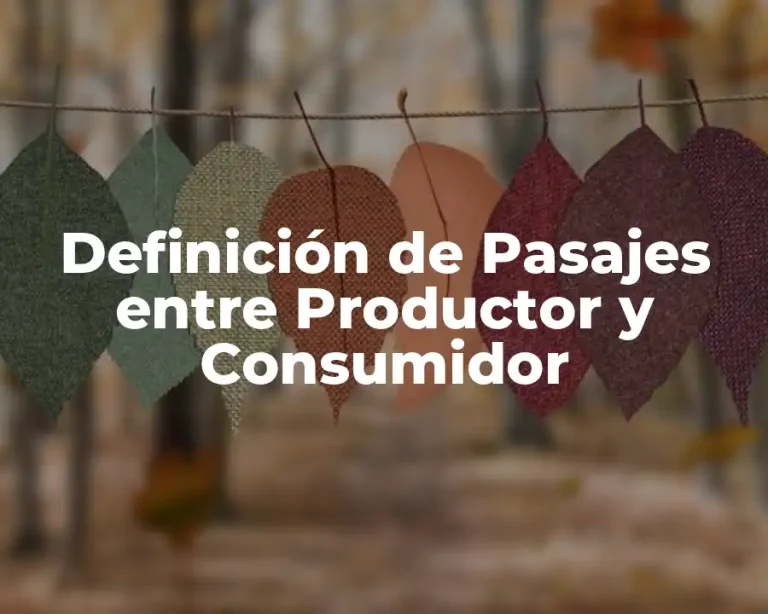 Definición de Pasajes entre Productor y Consumidor
