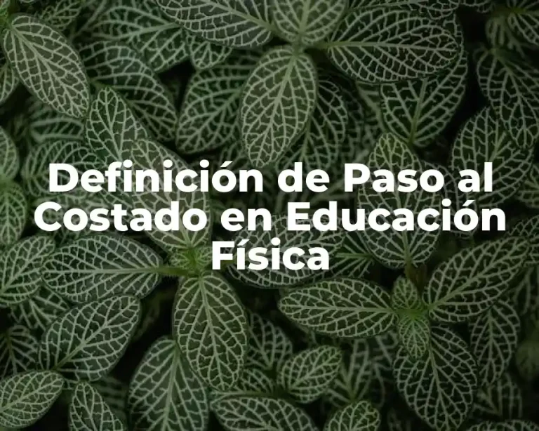 Definición de Paso al Costado en Educación Física