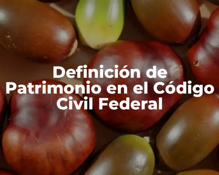 Definición de Patrimonio en el Código Civil Federal