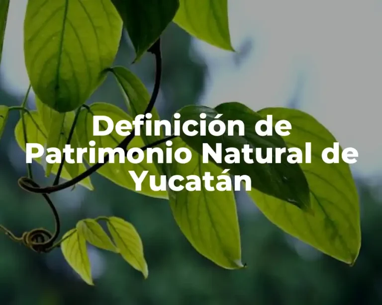 Definición de Patrimonio Natural de Yucatán