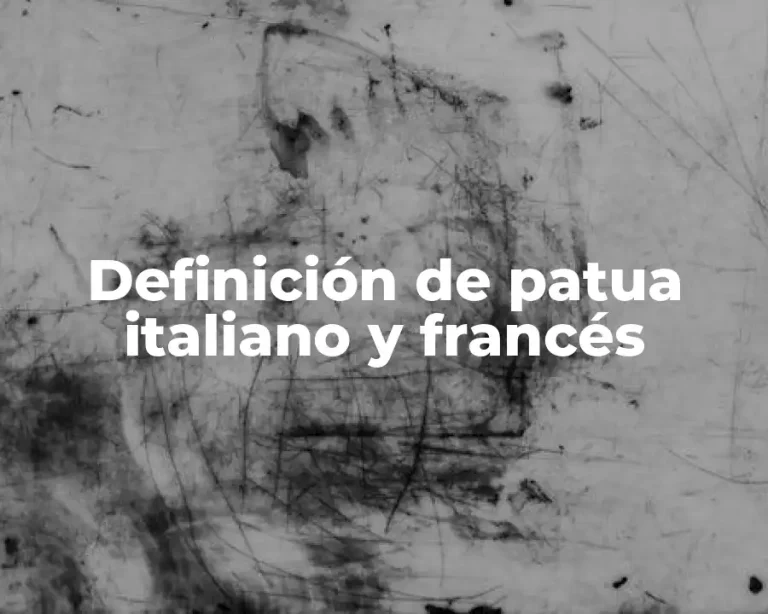 Definición de patua italiano y francés